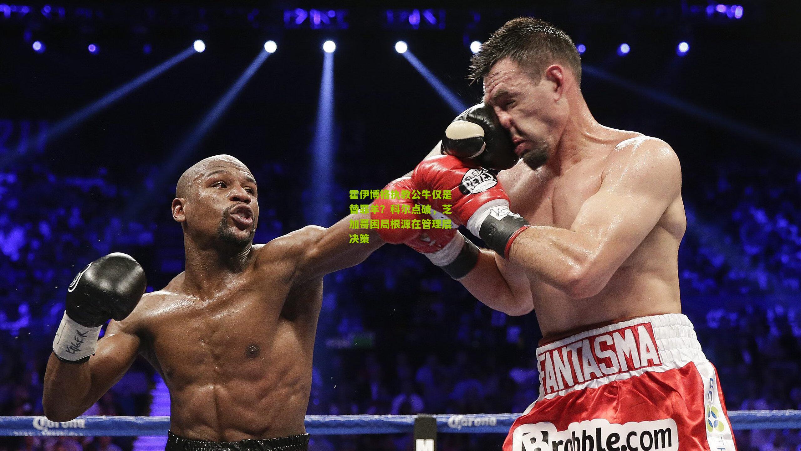 霍伊博格执教公牛仅是替罪羊?科尔点破,芝加哥困局根源在管理层决策