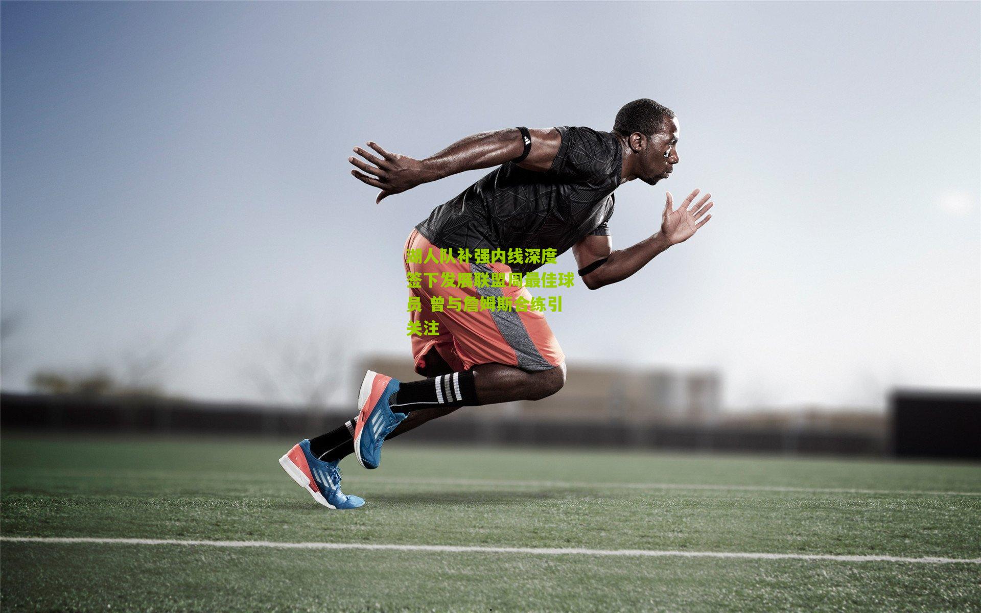 湖人队补强内线深度 签下发展联盟周最佳球员 曾与詹姆斯合练引关注